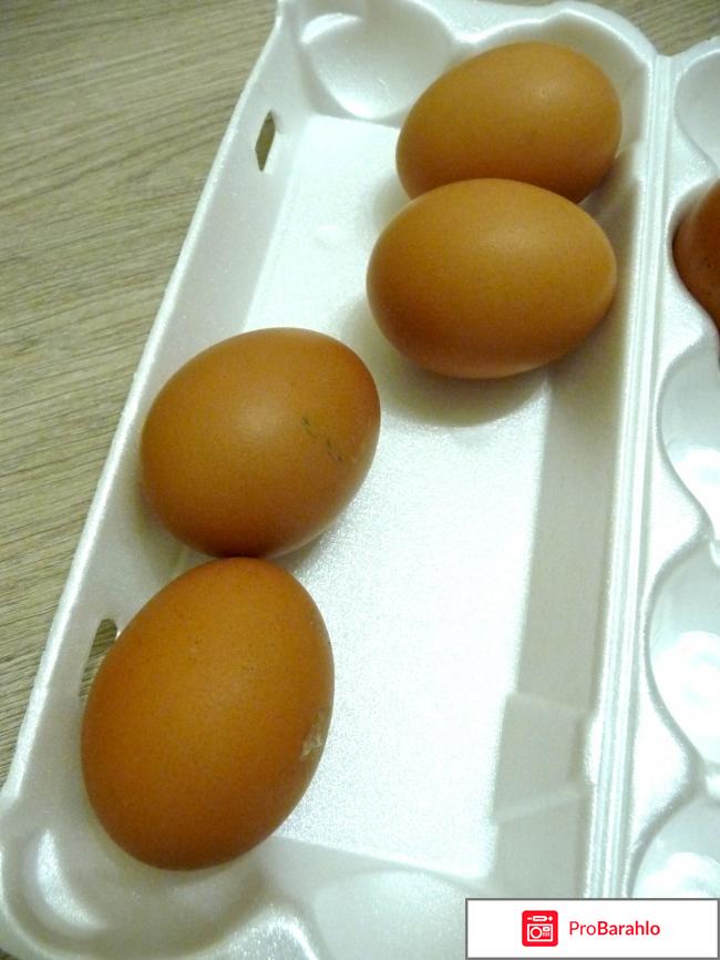 Яйца куриные столовые отрицательные отзывы