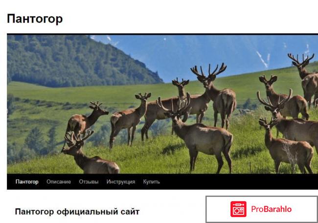 Пантогор официальный сайт заказать обман