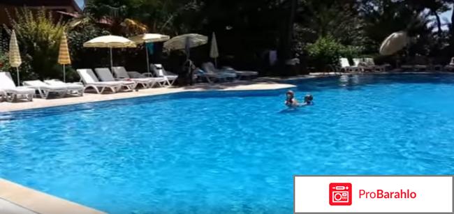 Отзывы incekum west hotel 4 реальные отзывы