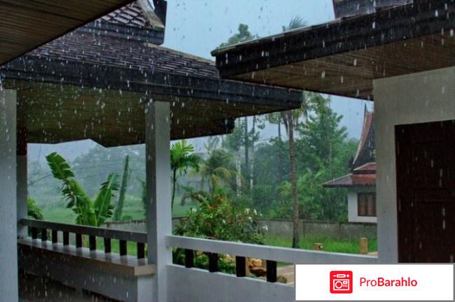 Погода в паттайе в октябре отзывы туристов отзывы владельцев