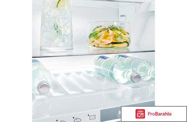 Двухкамерный холодильник Liebherr CBNPgw 4855 отрицательные отзывы