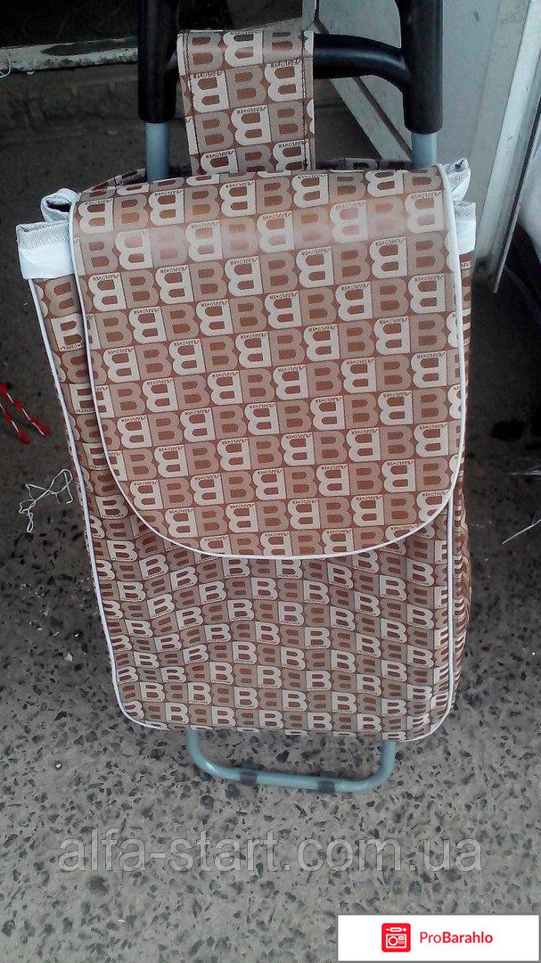 Сумка тележка хозяйственная обман