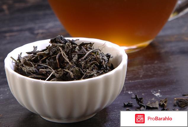 Чай,чай,Иван-чай. 