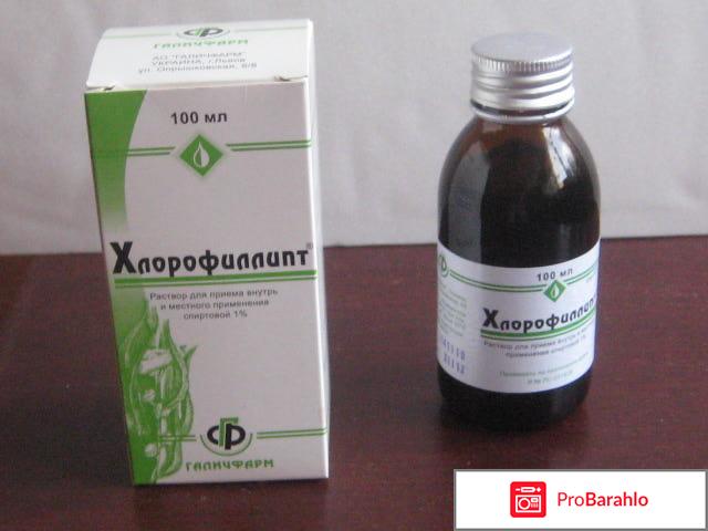Хлорофиллипт масляный для горла реальные отзывы