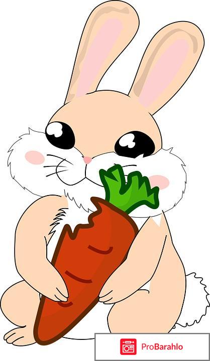 Детские наклейки для ванной обман