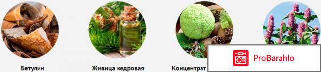 Сангридок от грибка реальные отзывы