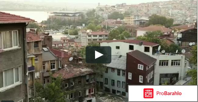 Город кошек 