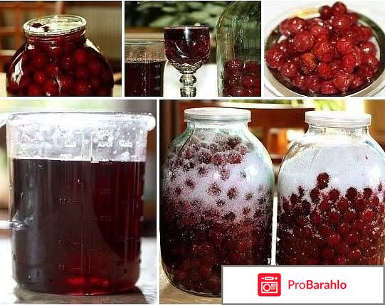 Вишневка ликер