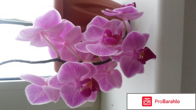 Samsung galaxy s4 16gb gt i9505 отзывы владельцев