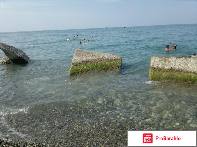 Отдых в лазаревском 2016 форум фото