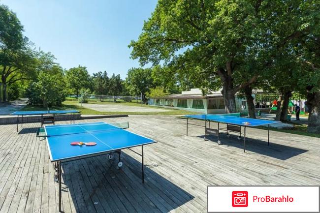 Сосновая роща геленджик официальный сайт отзывы обман