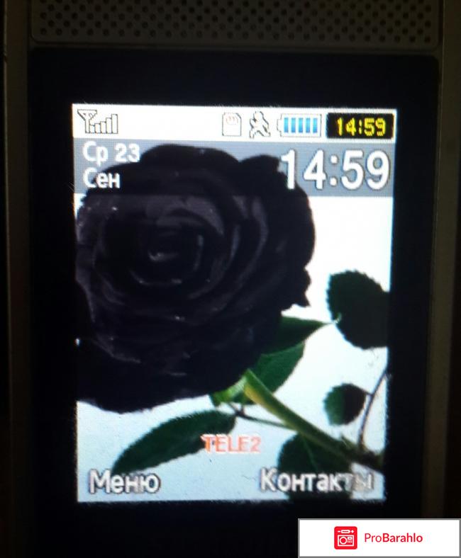 Мобильный телефон Samsung S3600i фото