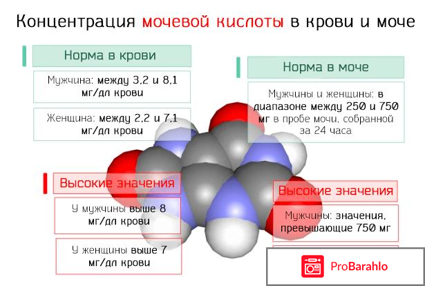 Как быстро вывести мочевую кислоту из организма 