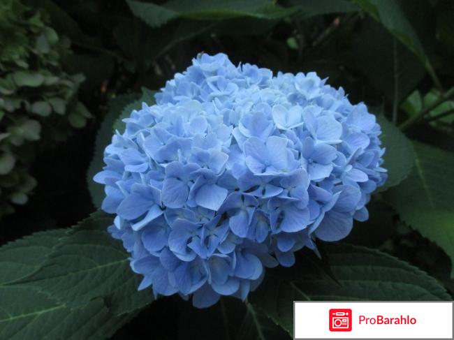 Санаторий МО РФ 