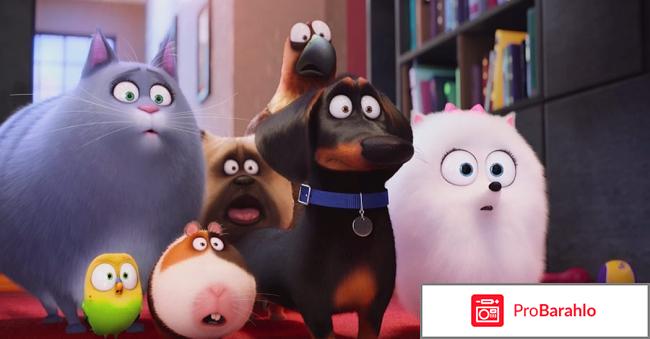 Тайная жизнь домашних животных обман