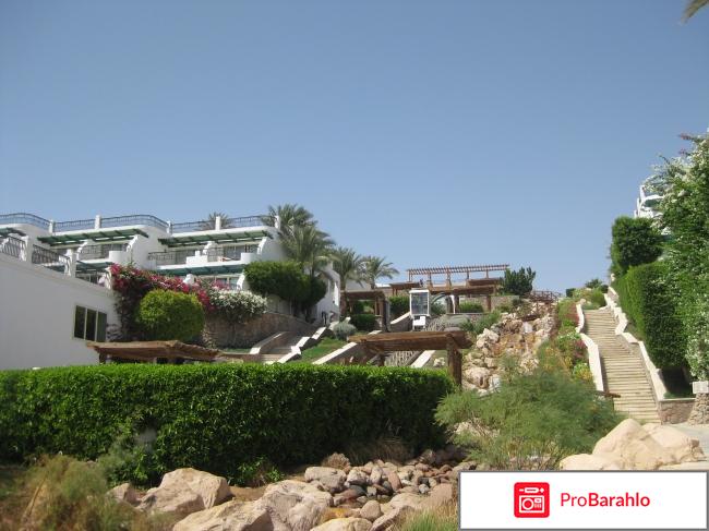 Hilton sharm waterfalls resort реальные отзывы