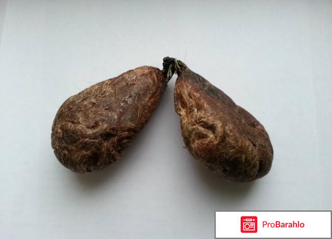 Бобровая струя отзывы отрицательные отзывы