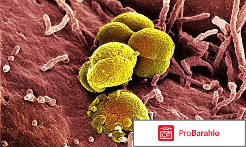 Микоплазма у женщин отзывы обман