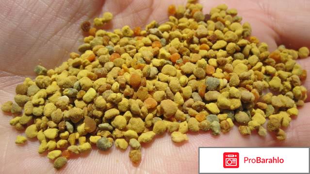 Перга отрицательные отзывы