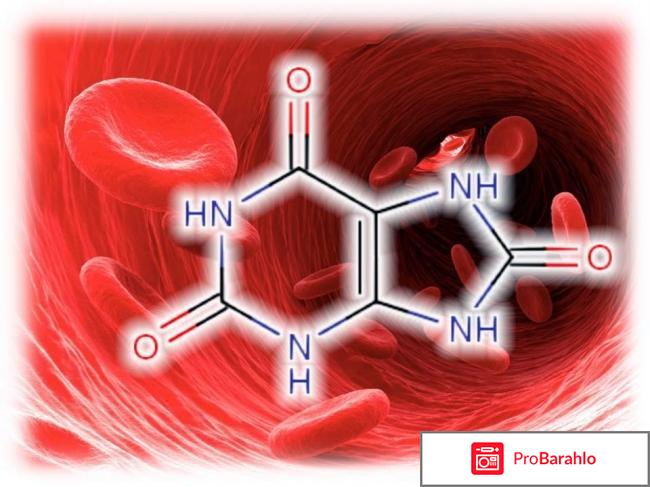 Мочевая кислота в организме 