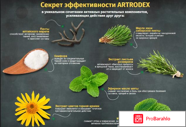 Artrodex купить в аптеке 