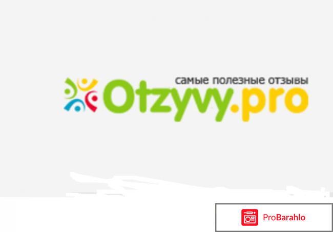 Otzyv.Pro. Реальный заработок? отзывы владельцев