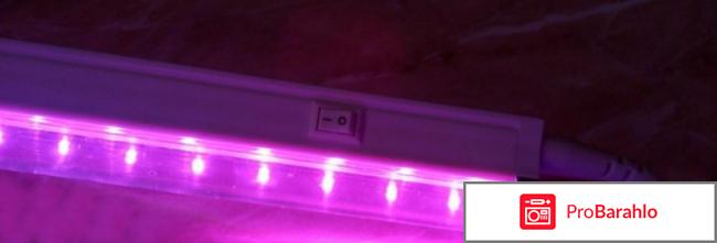 Светильник спб т8 фито отзывы 