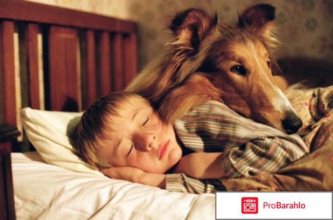 Фильм No Comment 