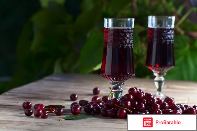 Вишневка ликер обман