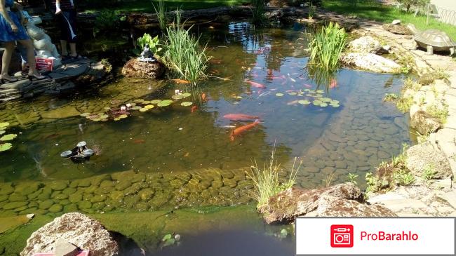 Фельдман ЭкоПарк фото