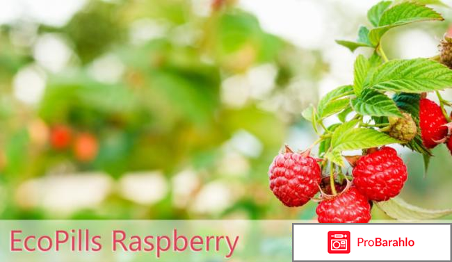 Eco pills raspberry инструкция по применению 