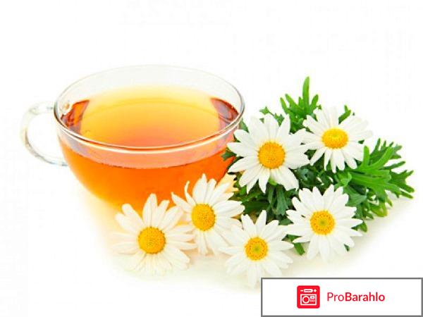 Фито отрицательные отзывы