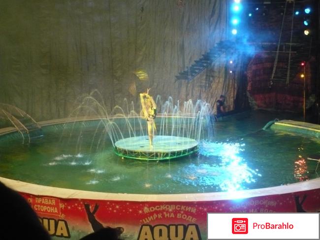 Московский цирк на воде Aqua show отзывы владельцев