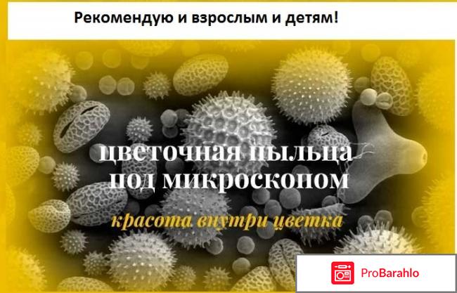 Цветочная пыльца 