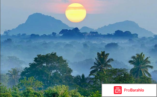 Шри ланка в декабре отзывы туристов фото