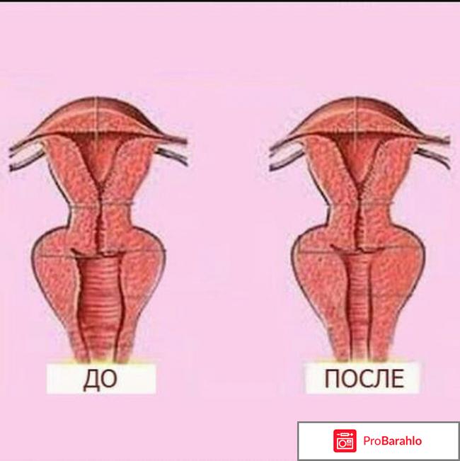 Отзывы чка доянь реальные отзывы