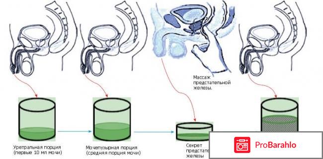 Алексей маматов отзывы отрицательные отрицательные отзывы