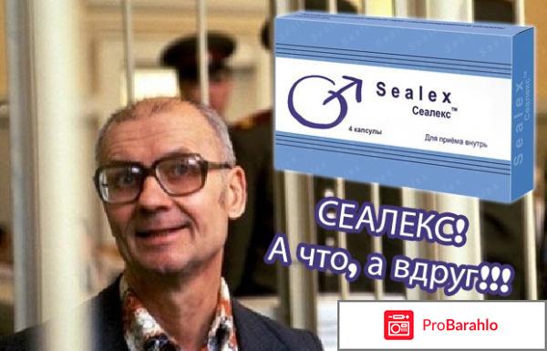 Сеалекс в москве обман