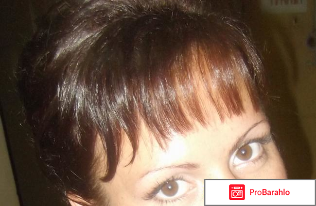 Салоны красоты смоленск отзывы владельцев