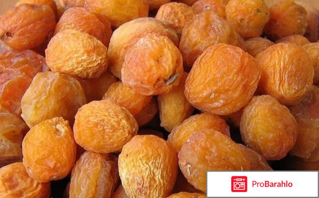 Урюк отрицательные отзывы