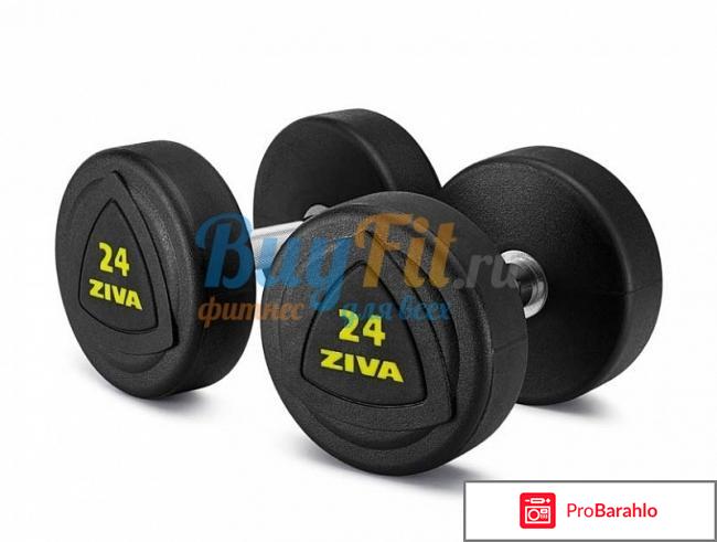 Гантели обрезиненные ZIVA ZVO-DBSR-2072 52 кг 