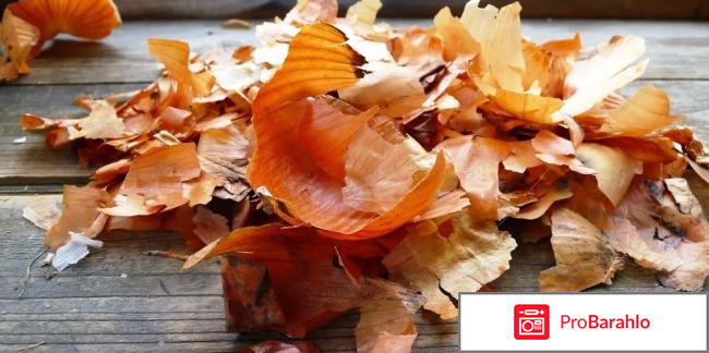 Польза луковой шелухи для здоровья человека отзывы обман