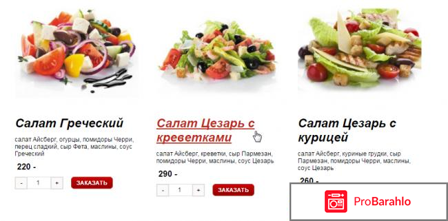 Citypizza отзывы владельцев