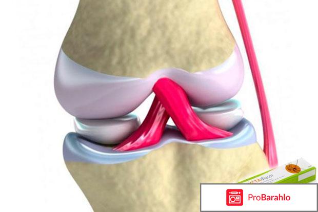 Крем сустафаст обман