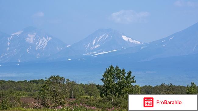 Реальная камчатка отзывы отрицательные отзывы