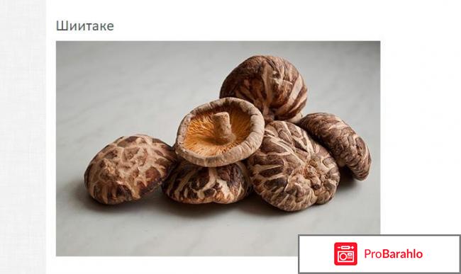 Солгар экстракт грибов рейши/шиитаке/мейтаке n50 капс. отрицательные отзывы