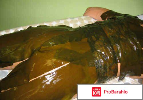 Водоросли ламинария отрицательные отзывы