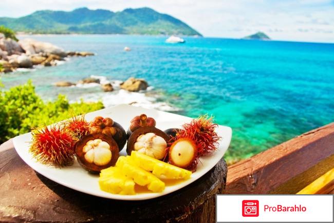 Отдых в паттайе отзывы туристов 2017 год реальные отзывы