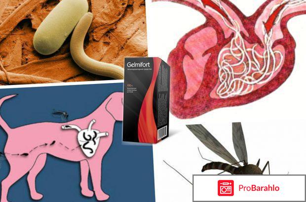 Гельмифорт 