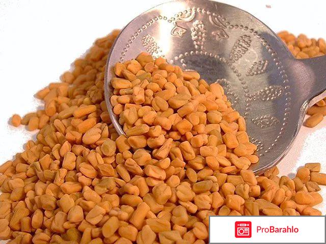 Хельба семена применение и противопоказания отрицательные отзывы